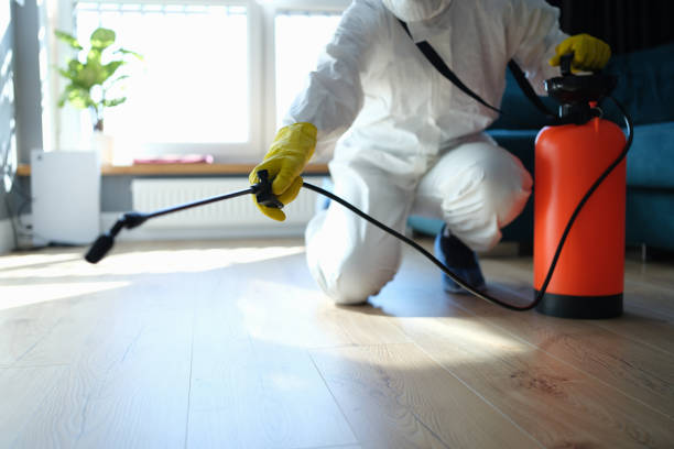 Reliable Odor Removal contractor in Port Washington, NY by Dulley Family Biohazard Services